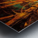 Maxfield Parrish 11 Metal print