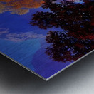 Maxfield Parrish 12 Metal print