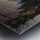 Maxfield Parrish 13 Metal print