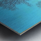 Maxfield Parrish 8 Metal print