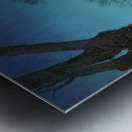 Maxfield Parrish 9 Metal print