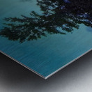 Maxfield Parrish 10 Impression metal