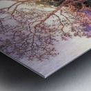 Maxfield Parrish 12 Metal print