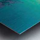 Maxfield Parrish 16 Metal print