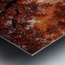 Maxfield Parrish 19 Metal print