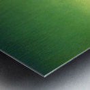 Maxfield Parrish 20 Metal print