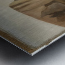 Henri Rousseau 1 Metal print