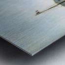 Henri Rousseau 2 Metal print