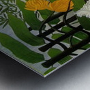 Henri Rousseau 4 Metal print