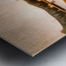 Henri Rousseau 5 Metal print