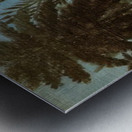 Henri Rousseau 6 Metal print