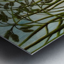 Henri Rousseau 8 Metal print