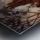 Henri Rousseau 9 Metal print