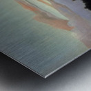 Henri Rousseau 10 Metal print