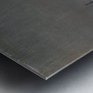 Henri Rousseau 14 Metal print