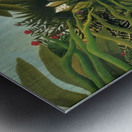 Henri Rousseau 15 Metal print