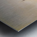 Henri Rousseau 17 Metal print