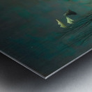 Henri Rousseau 23 Metal print