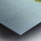 Henri Rousseau 27 Metal print