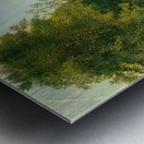 Henri Rousseau 35 Metal print