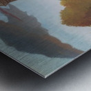 Henri Rousseau 36 Metal print