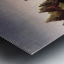 Henri Rousseau 38 Metal print