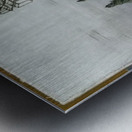 Henri Rousseau 46 Metal print