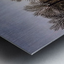 Henri Rousseau 50 Metal print