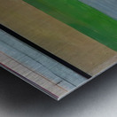 Richard Diebenkorn 32 Metal print