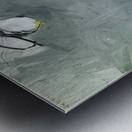 Richard Diebenkorn 41 Metal print