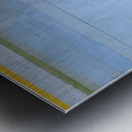 Richard Diebenkorn 18 Metal print