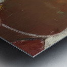 Richard Diebenkorn 24 Metal print