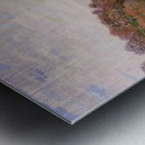 Armand Guillaumin 5 Metal print