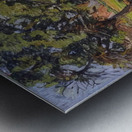 Armand Guillaumin 4 Metal print