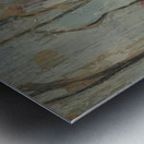 Emile Bernard 15 Metal print