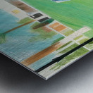 David Hockney 6 Metal print