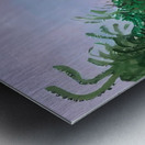 David Hockney 21 Metal print