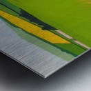 David Hockney 22 Metal print