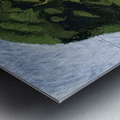 David Hockney 23 Metal print