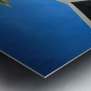 Art by David Hockney Metal print