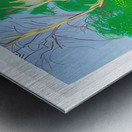 David Hockney 51 Metal print