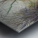 David Hockney 52 Metal print