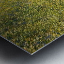 CLAUDE MONET 20 Metal print