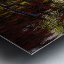 CLAUDE MONET 44 Metal print