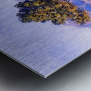 CLAUDE MONET 65 Metal print