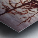 Lawren Harris  10 Metal print