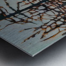 Lawren Harris  15 Impression metal