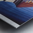 Lawren Harris  20 Metal print