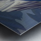 Lawren Harris  23 Metal print