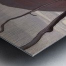 Lawren Harris  27 Metal print